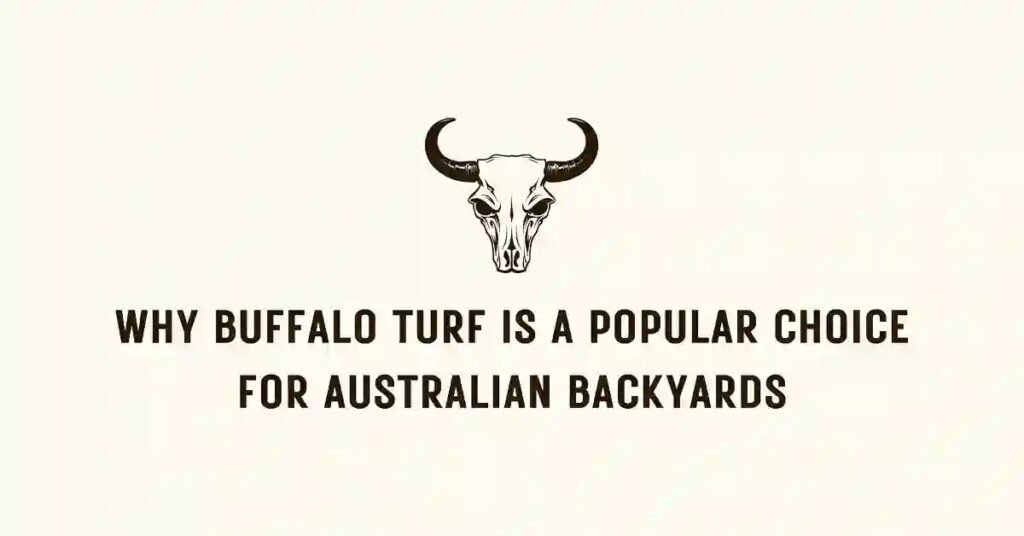 buffalo turf sydney